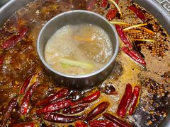 -杨肥肠火锅大排档(火车站花园店)
