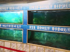 水产区-金龙渔港(双楠店)