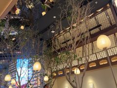 -桂满陇·海市蜃楼·黑金(国金店)