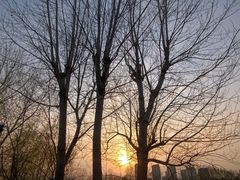 -鉴湖国家城市湿地公园