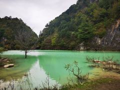 -狮子沟牧场