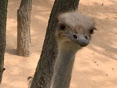 -威海华夏城景区