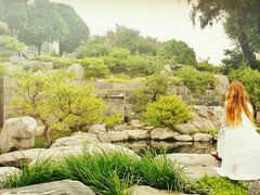 android_upload_pic-中国唐苑