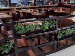 -东方饺子王(新奥购物中心店)