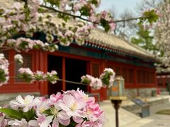 -北京古代建筑博物馆