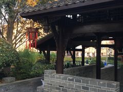 -活水公园