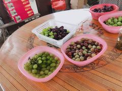 -马陆小张葡萄园农家乐