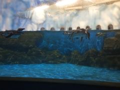 -常州海昌海洋探索馆