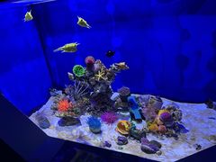 -绿色星球动物主题公园