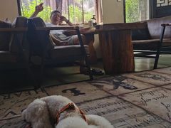 -小草屋轰趴馆别墅派对新场团建家庭聚会