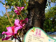 -广州国际生物岛