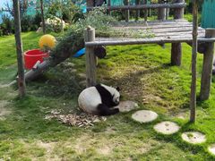 -西霞口神雕山野生动物世界