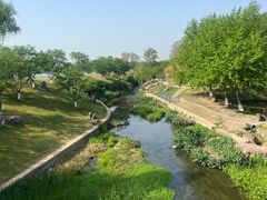 -羊山湖公园