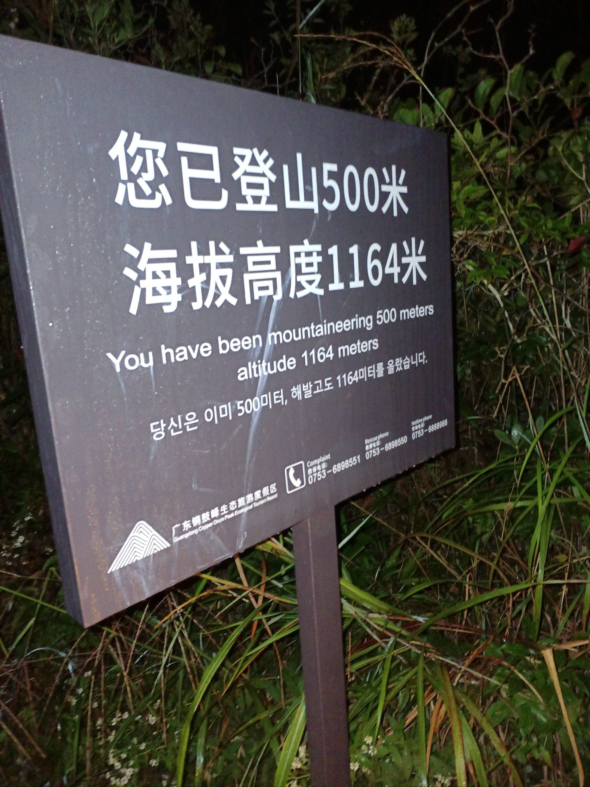 铜鼓峰晚上登山很凉快,神清气爽