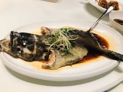 清蒸石斑鱼-鱼乐轩·俄罗斯海鲜直供餐厅(群力店)