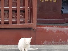 -西园戒幢律寺