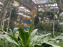 -南宫五洲植物乐园