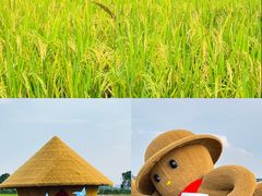 -长洲岛
