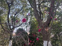 -四里河滨水生态公园