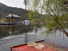 -黄陂区野村谷景区