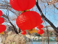 -东平国家森林公园