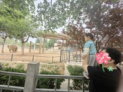 -石家庄市动物园