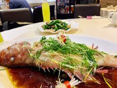 -凤城礼记鱼翅海鲜酒家(新马路总店)