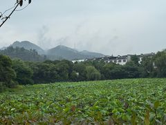 -潜口民宅博物馆