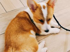 -天井·丑面包搭咖啡