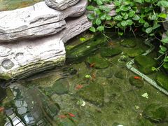 -嘉悦汗蒸时代(曙光路店)