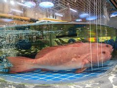 -舟山海鲜·江浙菜(银沙路店)
