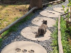 -林间山庄