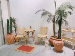 -好看加白色房子