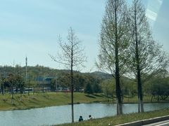 -多宾韩国料理(学衡路店)