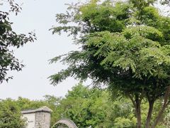 -卡旺卡(合肥半边街店)