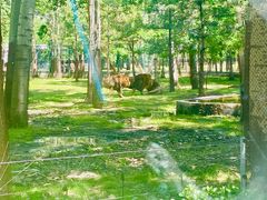 -秦皇岛野生动物园
