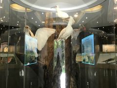 -下渚湖国家湿地公园科普馆