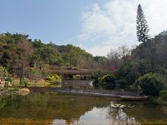 -云溪植物园