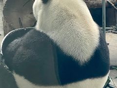 -石家庄市动物园