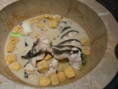-云海肴云南菜·蒸汽石锅鱼(青岛万象城店)