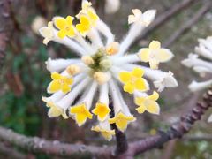 -白塘生态植物园