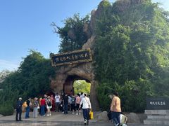 -大槐树寻根祭祖园