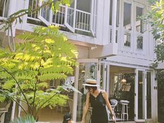 -Fern Forest Cafe