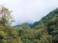 -陕西省红河谷森林公园