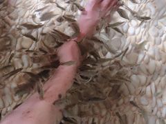 -明谷行馆·温泉