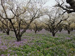 -江苏三台山国家森林公园