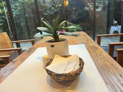 -看见远方·莫干遥远的山民宿