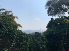 -广州市白云山风景名胜区