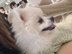 -怪兽屋·羊驼·猫咖·狗咖(俊华广场店)