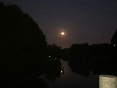 -九里河湿地公园